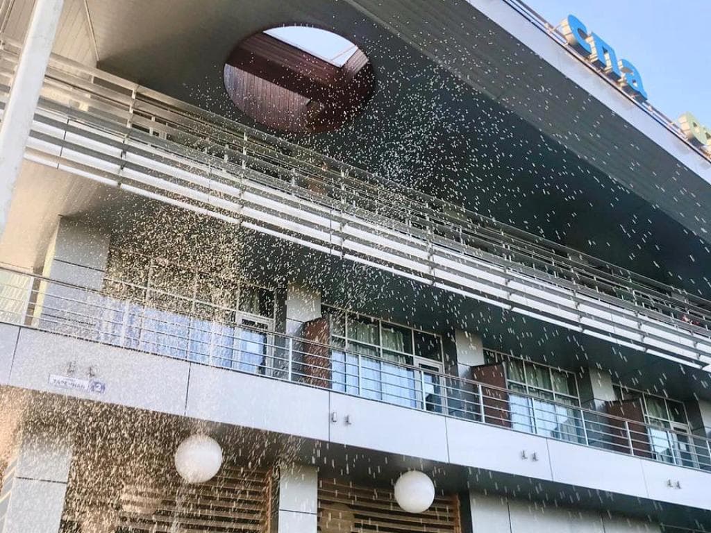 Чулково Club (Клаб) фото 4