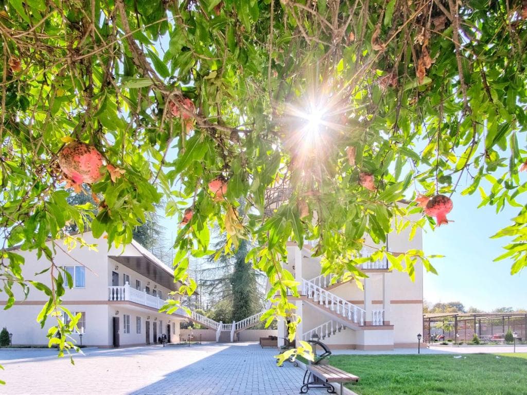 Лето Парк-Отель фото 8