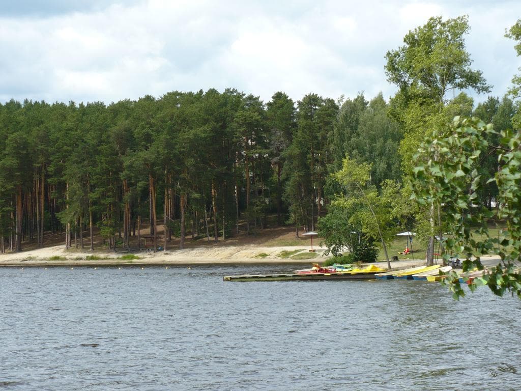 Дальняя Дача фото 5