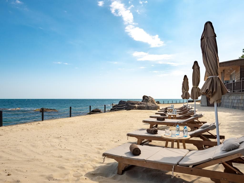 Дача. Рахманинов фото 6