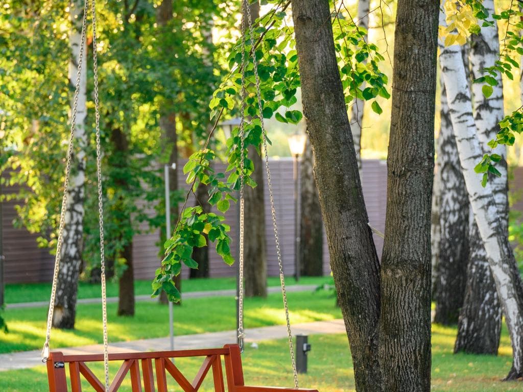 Дон Санаторий фото 6