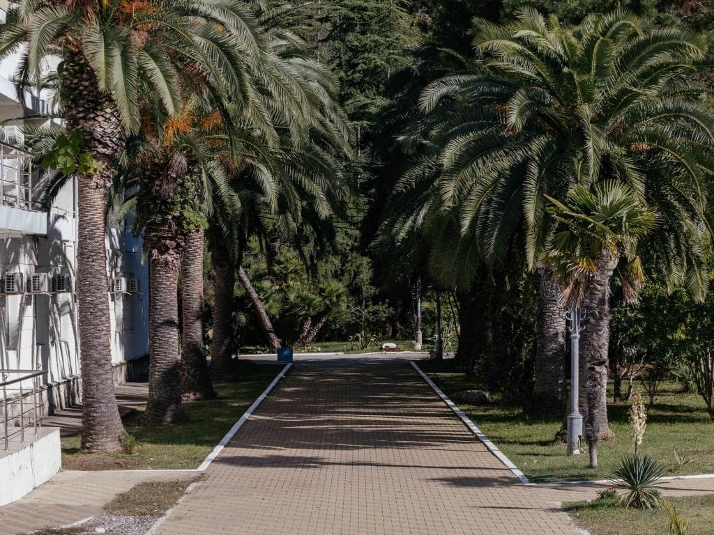 Парк-отель Кавказ фото 5