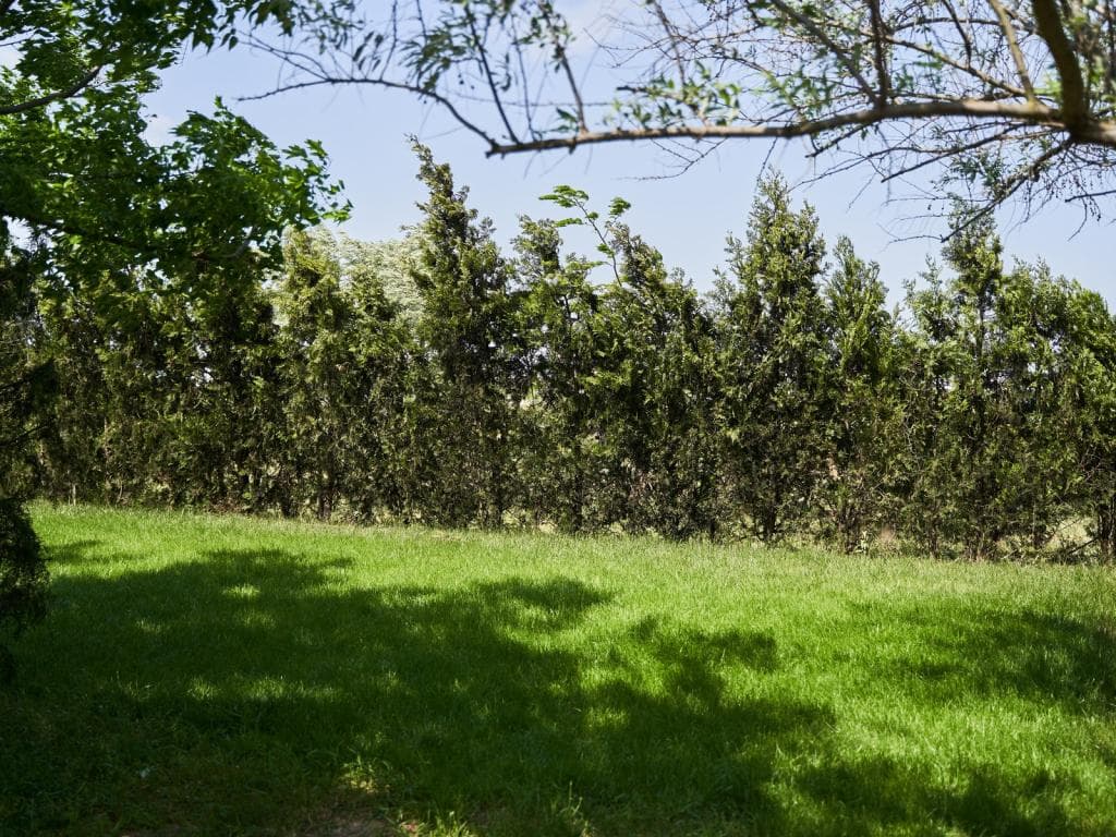 Гринвич фото 2