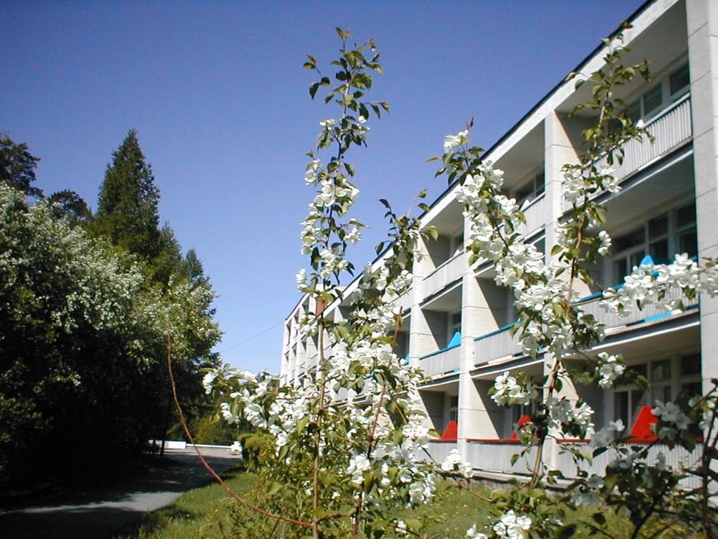 Дальняя Дача фото 2