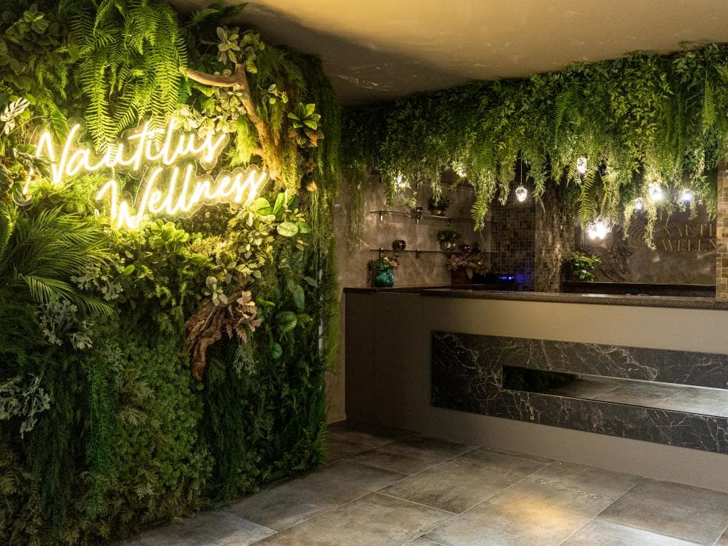 Green House Detox & SPA Hotel (Грин Хаус Детокс и Спа) фото 8