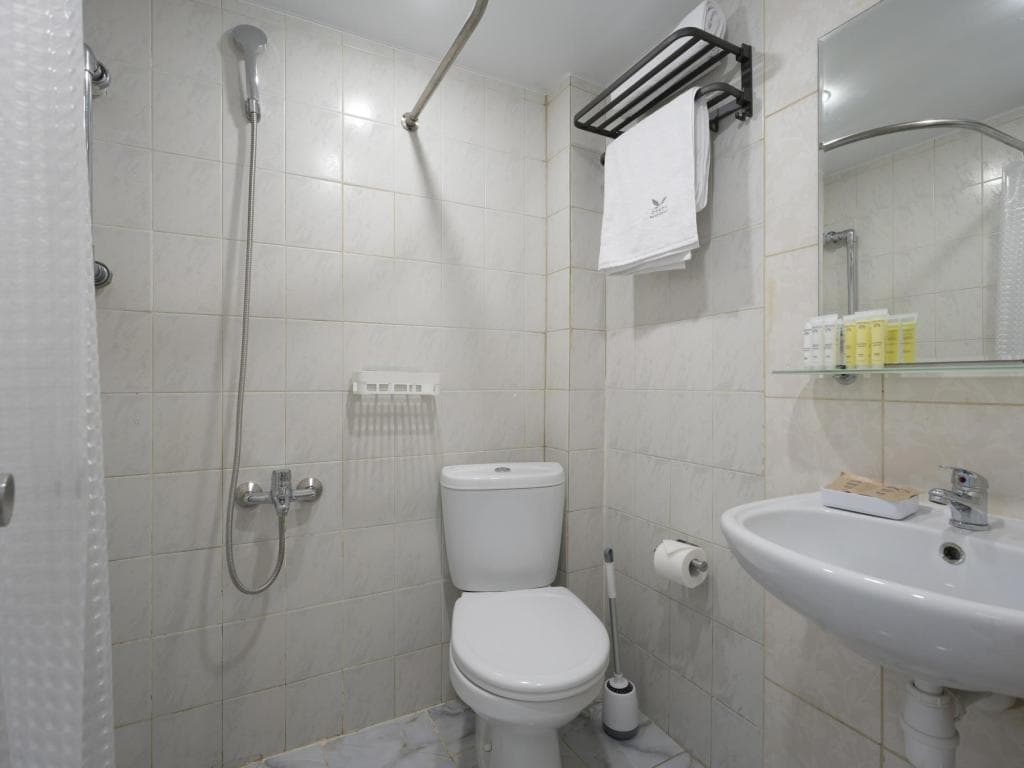 Сокол фото 8