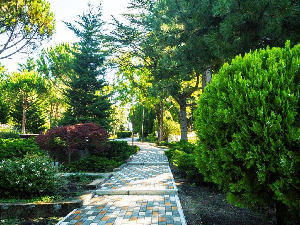 Парк-отель Небуг фото 8