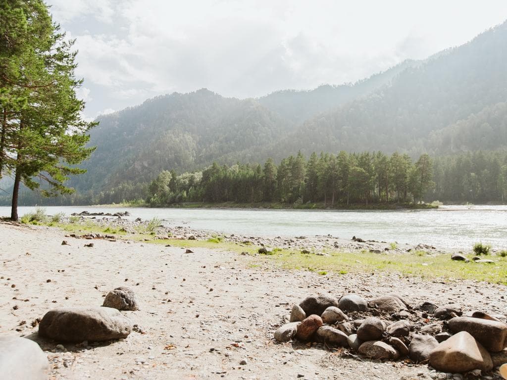 Altay Bereg (Алтай Берег) фото 6