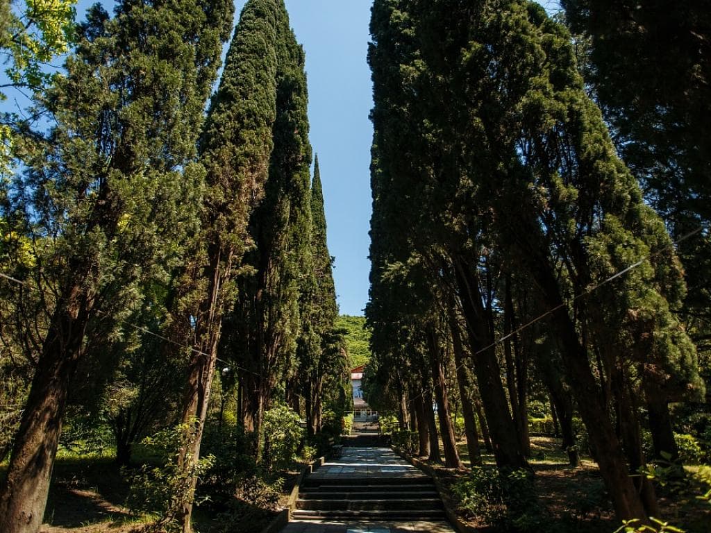 Санаторий Аврора фото 7