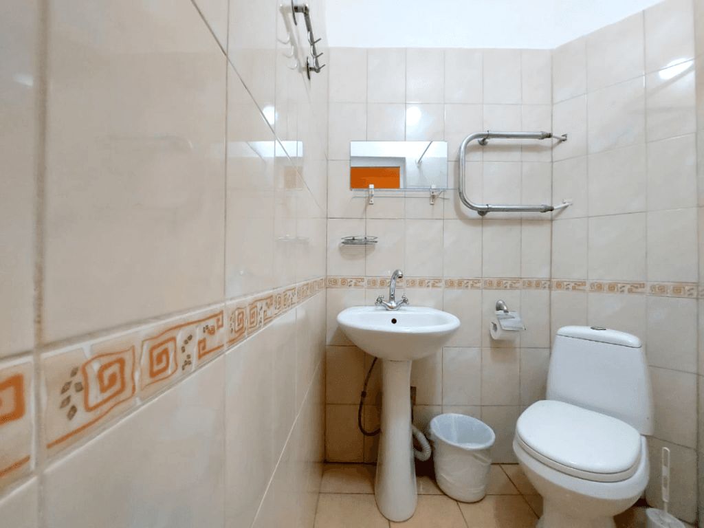 Ателика Снежка фото 6