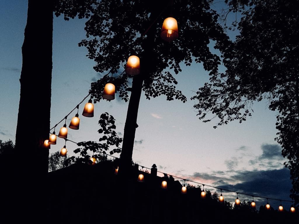 Wolki & Lipki (Волки и Липки) фото 5