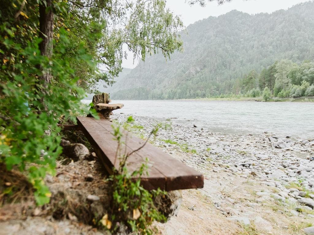 Altay Bereg (Алтай Берег) фото 7