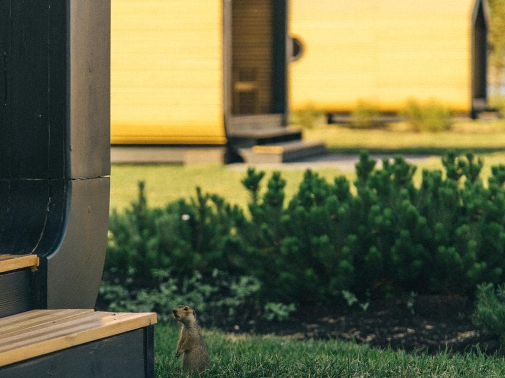 Парк-отель Новая Земля фото 2