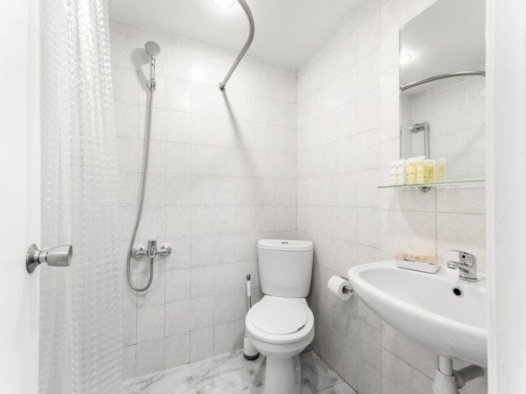 Сокол фото 5