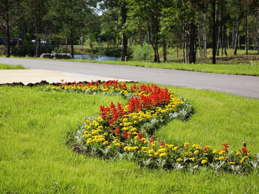 Парад Парк Отель фото 8