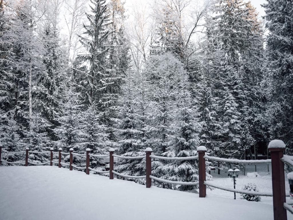 Истра Holiday (Истра Холидей) фото 8