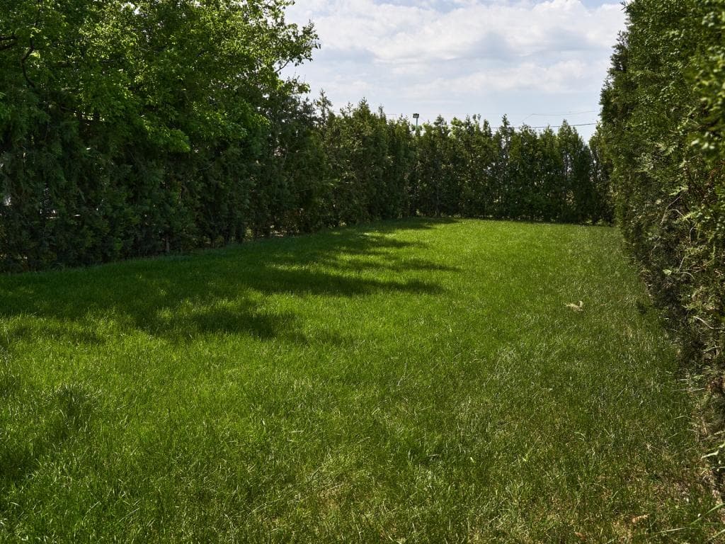 Гринвич фото 3