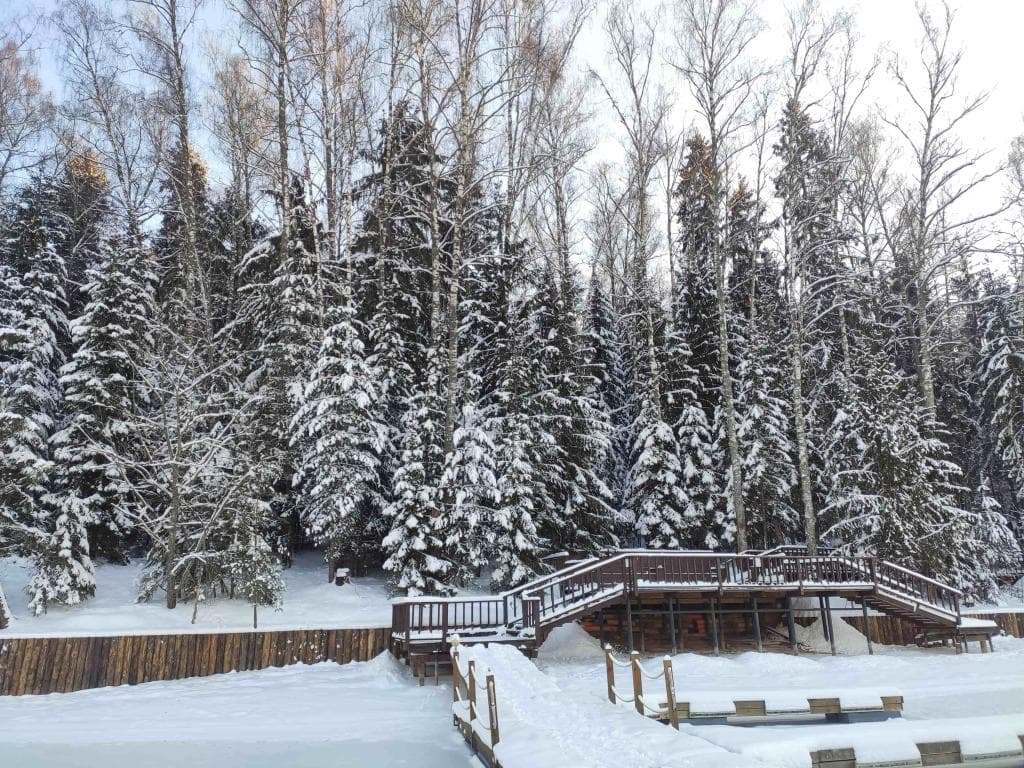 Истра Holiday (Истра Холидей) фото 7