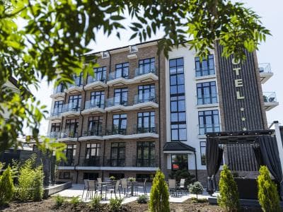 Золотой Лотос