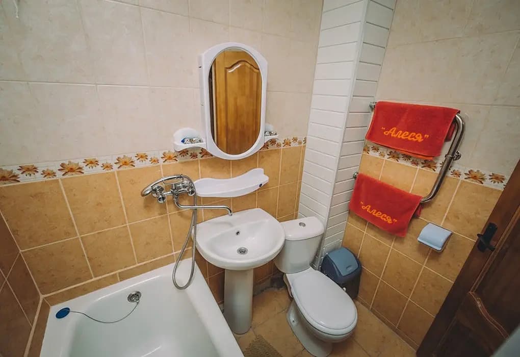 Alesya Sanatorium фото 7