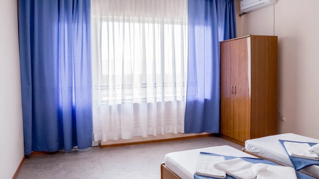 Акация фото 2