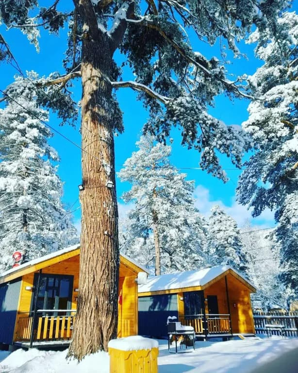 Solu Chalet (Солу шале) фото 6