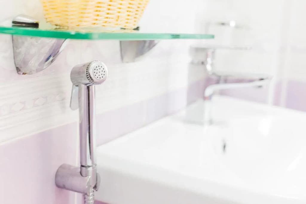 Чайка фото 8