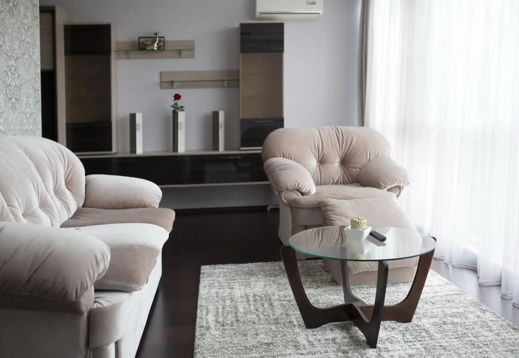 Чайка фото 2