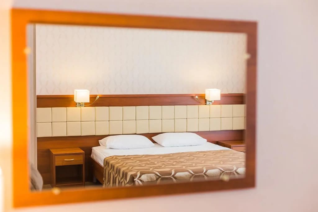 Чайка фото 6