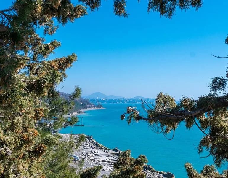 Студия с видом на море фото 2