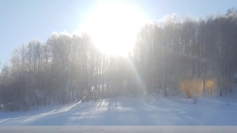 Двухместный Джуниор сьют 2 отдельные кровати фото 7