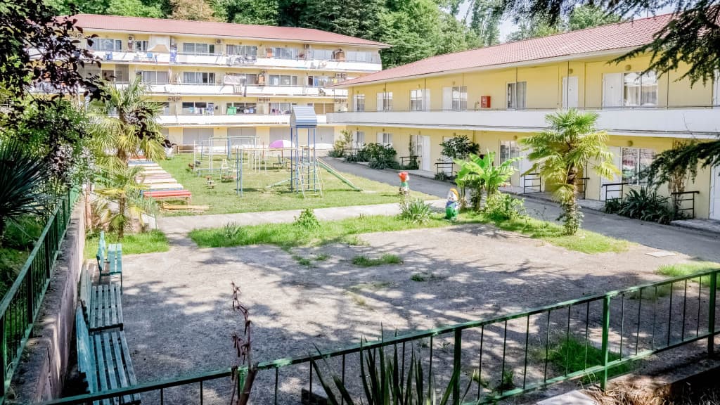 Акация фото 8