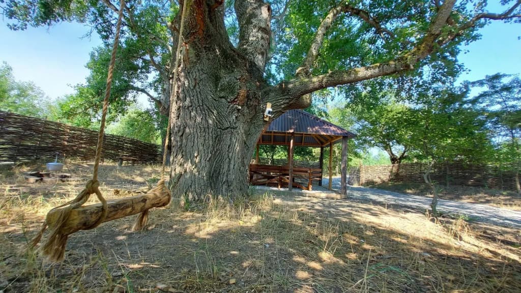 Экоферма "Кундухово" фото 8