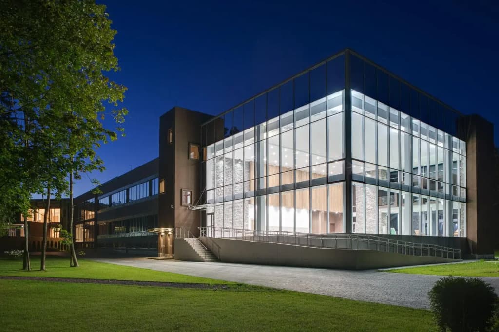 Верба Майер