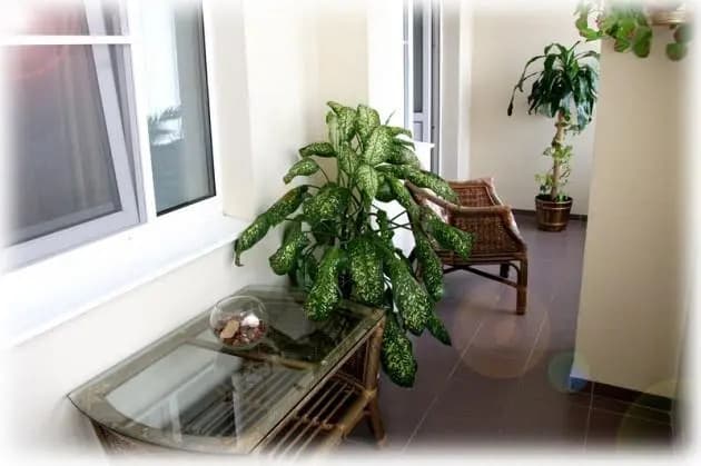 Сосновый Бор фото 8