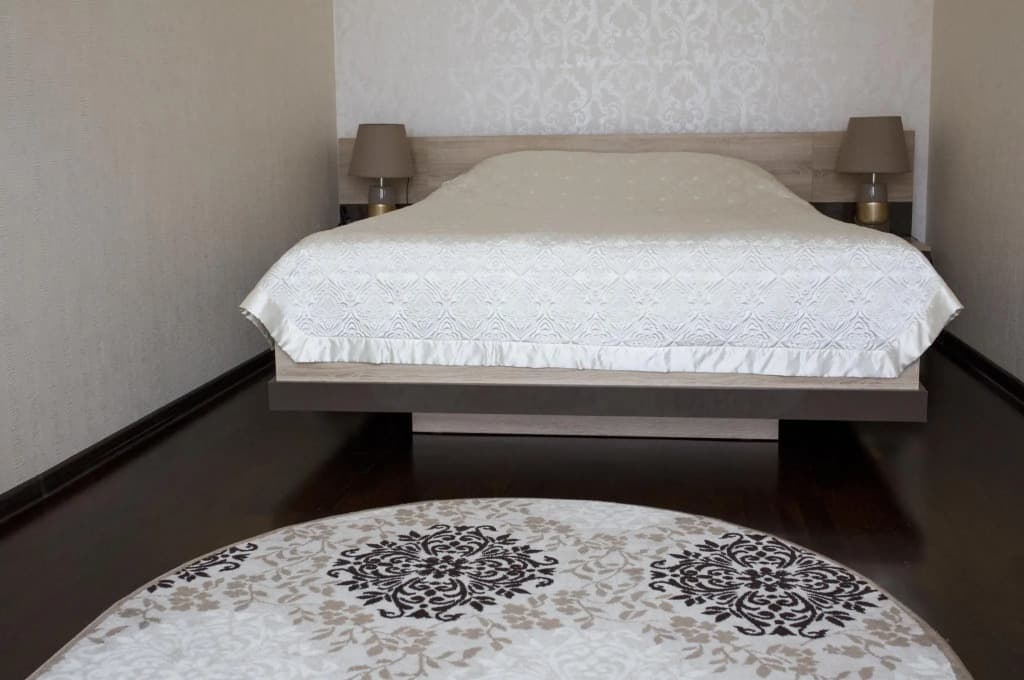 Чайка фото 4