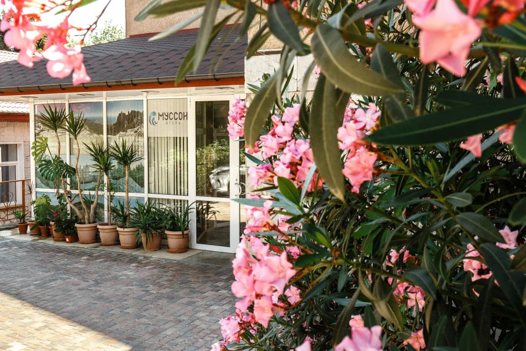 Муссон фото 2