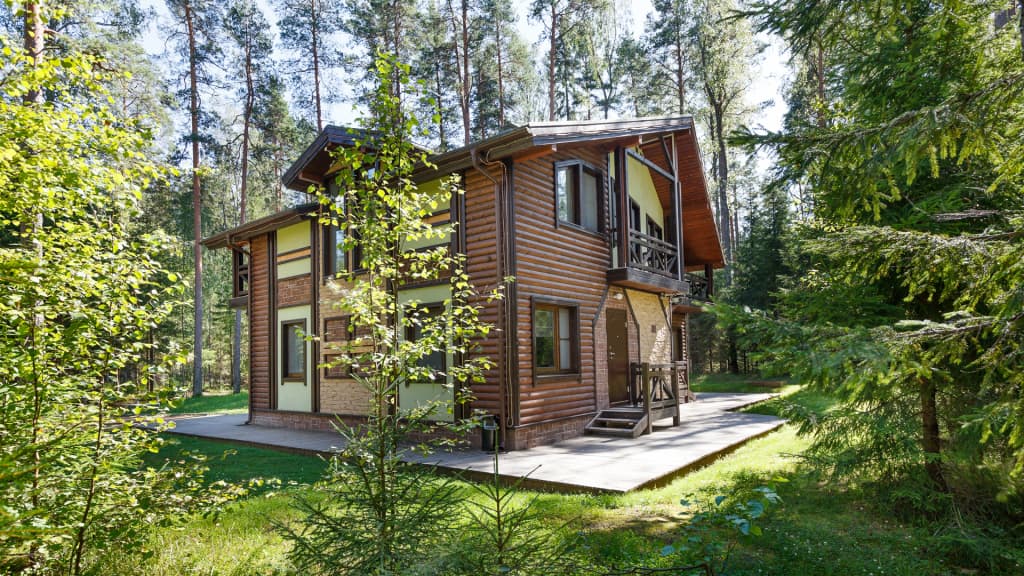 Лесная Рапсодия фото 3