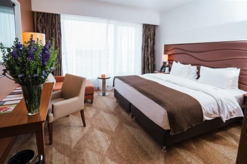 Альфа Сириус фото 8