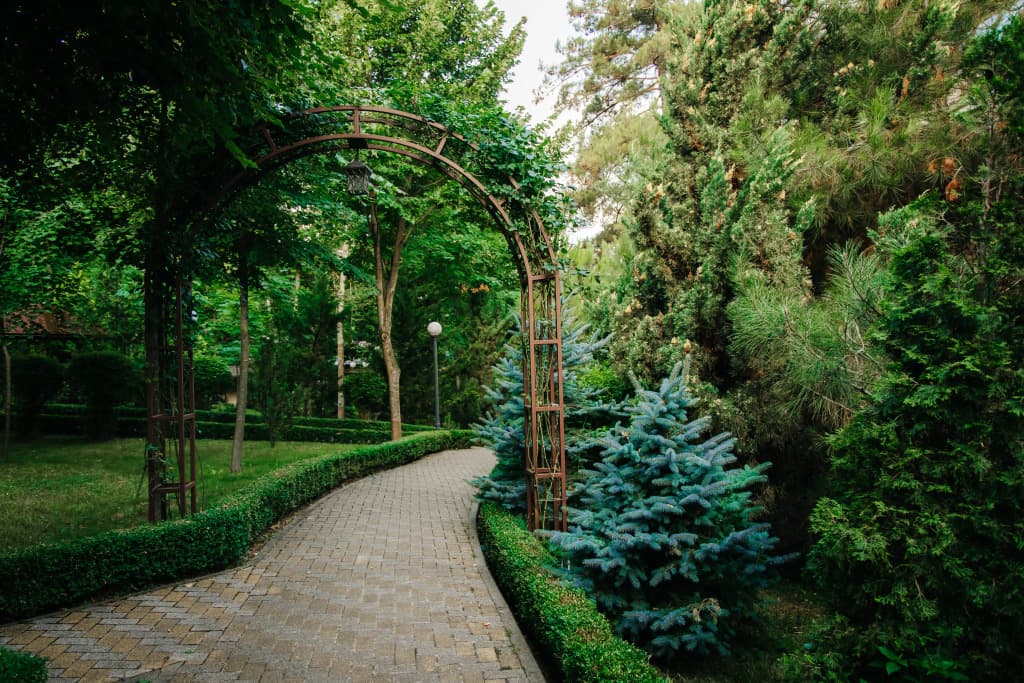 Благодать фото 6