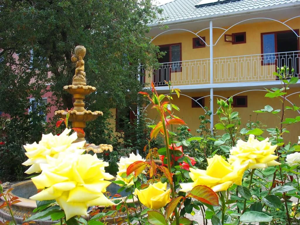 Курортный отель Орхидея фото 6