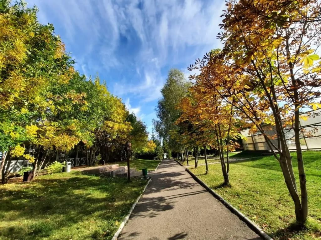 Фореста Фестиваль Парк фото 5