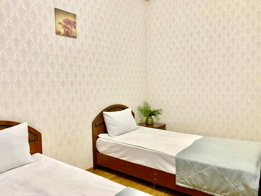Двухместный номер Стандартный (2 отдельные кровати) фото 5