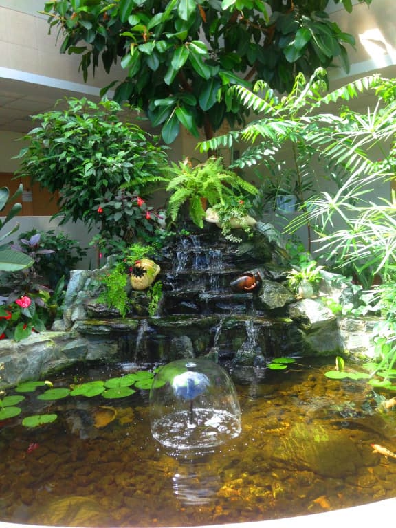 Санаторий Синегорские минеральные воды фото 6