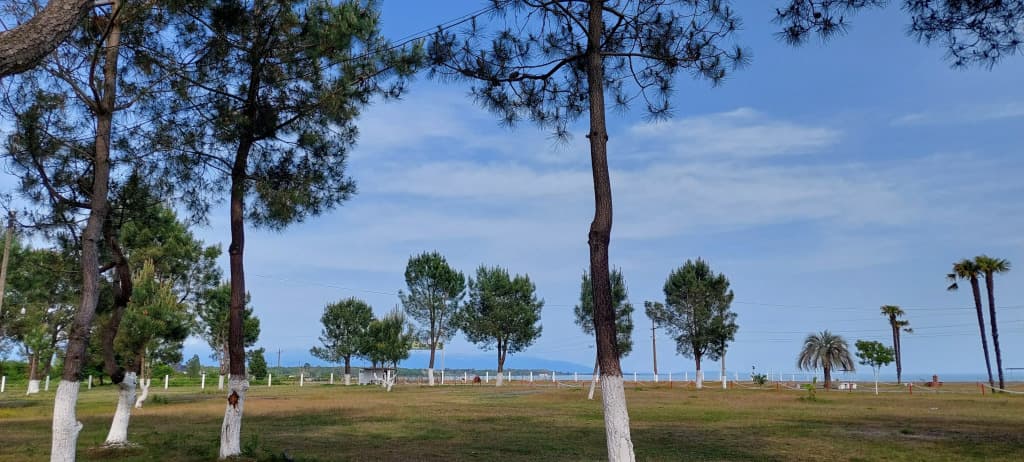 Курортный отель Сосновый Бор фото 7