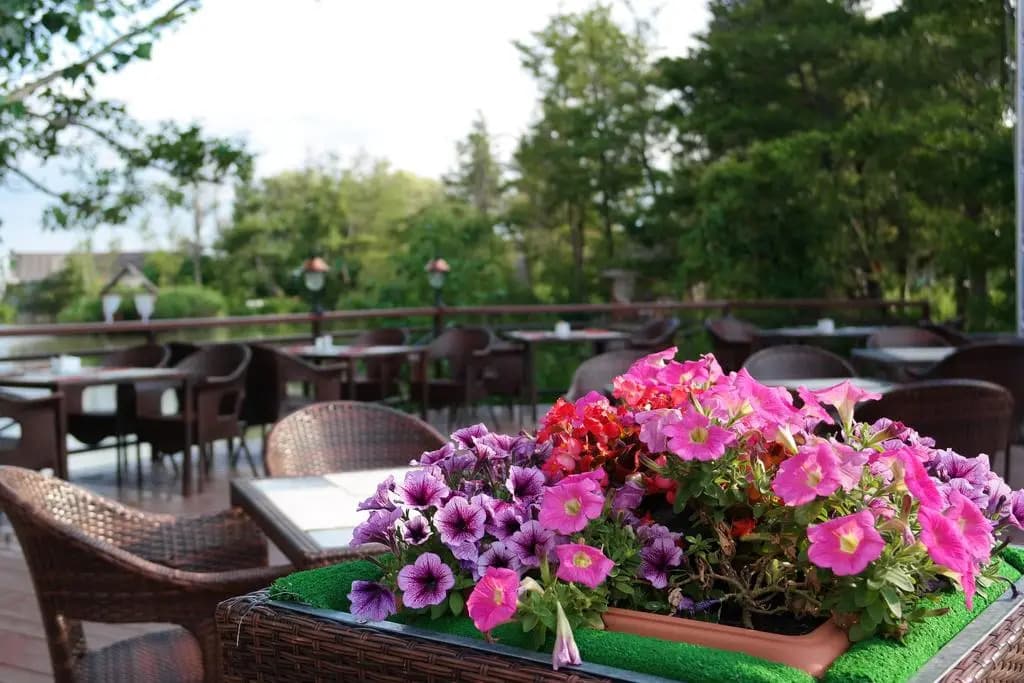 Парк-отель Озеро Дивное фото 2