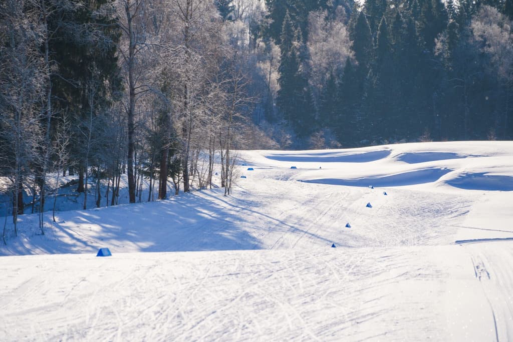 Отель Forest Hills Golf Resort by Moss фото 7