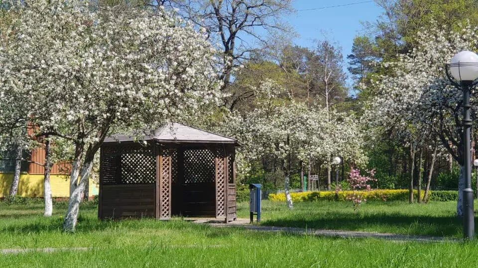 Санаторий Радуга фото 6