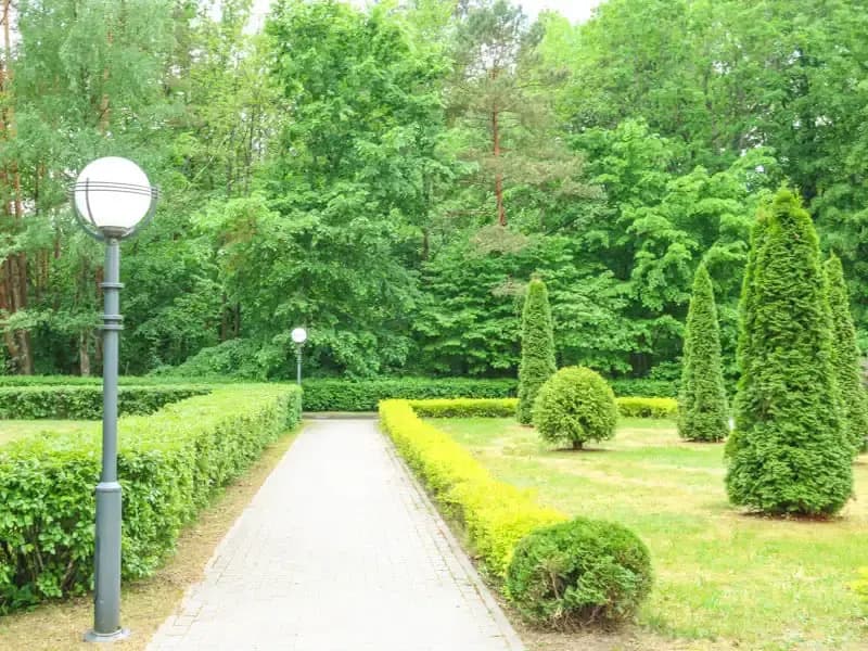 Санаторий Радуга фото 8