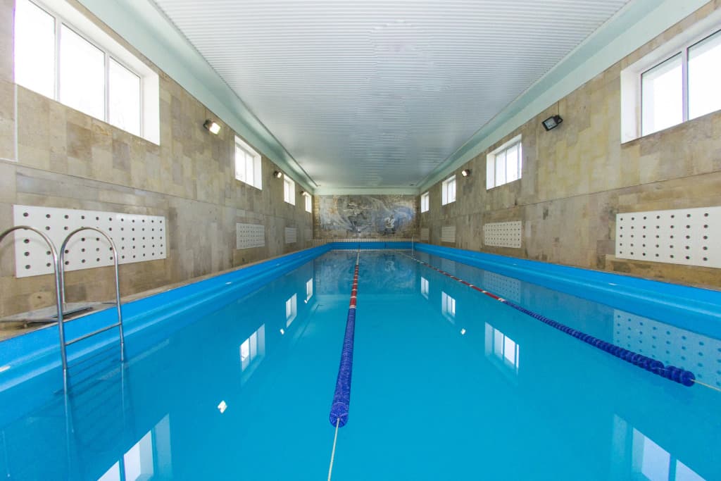 Сокол фото 3